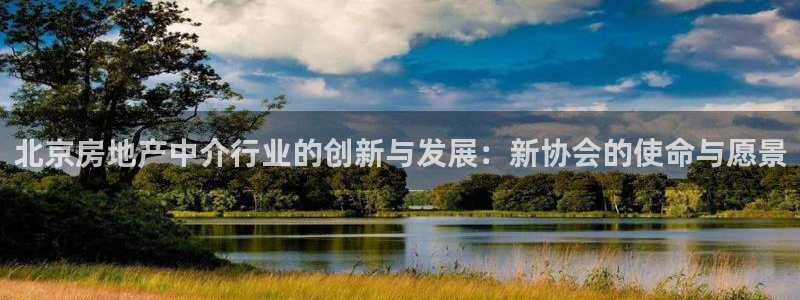 天狮平台娱乐：北京房地产中介行业的创新与发展：新协会的使命与