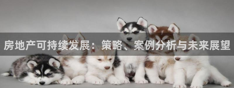 天狮娱乐b 判官：房地产可持续发展：策略、案例分析与未来展望